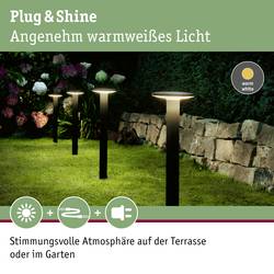 Paulmann Poller Plate 94312 Osvětlovací systém Plug&Shine Sloupkové LED svítidlo LED 6.1 W teplá bílá antracitová
