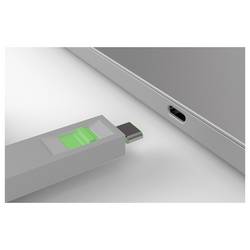 LINDY Zámek k portu USB-C® Lindy - Schloss für USB-C-Port - grün sada 4 ks zelená zámek s klíčem vč. 1 klíče 40426