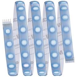Paulmann MaxLED RGBW 70627 LED pásek základní sada konektor 24 V 1.5 m RGB, teplá bílá 1 ks