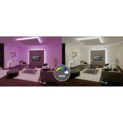 Paulmann MaxLED RGBW 70627 LED pásek základní sada konektor 24 V 1.5 m RGB, teplá bílá 1 ks