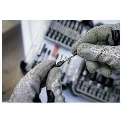 Bosch Accessories 2607002805 2607002805 Bit TX 25 ks
