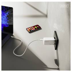 Digitus DA-10303 USB nabíječka, 1x USB A , 2x USB-C®, 67 W, bílá
