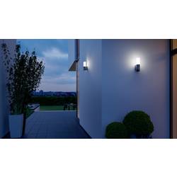 Steinel L 605 S 065287 venkovní nástěnné LED osvětlení s PIR detektorem LED pevně vestavěné LED 11.3 W antracitová