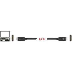 Delock Thunderbolt kabel Thunderbolt ™ (USB-C ®) zástrčka, Thunderbolt ™ (USB-C ®) zástrčka 0.50 m černá 84844 Thunderbolt™ kabel