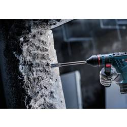 Bosch Accessories 2608901699 2608901699 plochý sekáč 5 ks