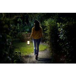 Philips LED 8719514443730 Cicero DSK260 Akumulátorová stolní LED lampa 6 W bílá bílá, černá