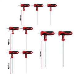 Einhell T-Griff Schraubendreher-Set 9-tlg. Einleger Pad, 370526 vložka, 9dílná