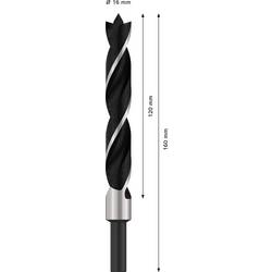 Bosch Accessories 2608596313 spirálový vrták do dřeva 16 mm Celková délka 160 mm 1/4 (6,3 mm) 1 ks