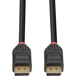 LINDY DisplayPort kabel Konektor DisplayPort, Konektor DisplayPort 10.00 m černá 41169 pozlacené kontakty Kabel DisplayPort