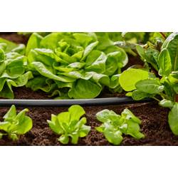 GARDENA Systém Micro-Drip 01347-20 ukládací trubka 13 mm (1/2) Ø Délka hadice: 50 m