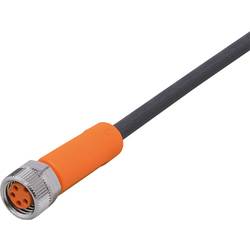 ifm Electronic EVC152 Přívodní kabel, EVC152, piny: 4, 10 m, 1 ks