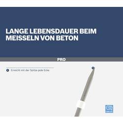Bosch Accessories 1618630000 Bosch Power Tools bodový sekáč Celková délka 300 mm šestihran 1 ks