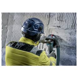 Bosch Accessories 2608615284 Hrncový kotouč Průměr 180 mm 1 ks