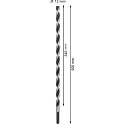 Bosch Accessories 2608597197 spirálový vrták do dřeva 12 mm Celková délka 400 mm válcová stopka 1 ks