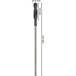 Bosch Accessories 2608597167 šalovací vrták 22 mm Celková délka 400 mm válcová stopka 1 ks