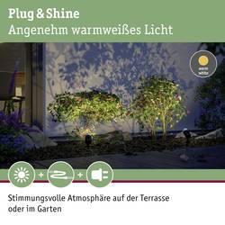 Paulmann Pike 94242 Osvětlovací systém Plug&Shine startovací sada LED zahradních reflektorů sada 3 ks LED 10.5 W teplá bílá antracitová