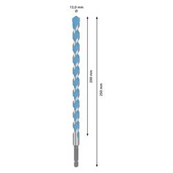 Bosch Accessories 2608902275, 2608902275 Multifunkční vrták, 12 mm, délka 250 mm
