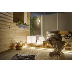 Paulmann Neon 94191 Osvětlovací systém Plug&Shine LED pásky LED 31 W teplá bílá bílá