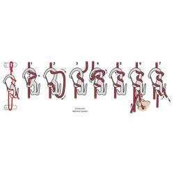 NITE Ize NI-C9S-02-01 karabina Figure9 Small 69 mm x 34 mm x 8 mm 1 ks