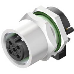Weidmüller SAIE-M12BB-4-H5.5TL neupravený zástrčkový konektor pro senzory - aktory, 2424050000, piny: 4, 10 ks