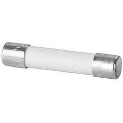 Weidmüller 0546900000 trubičková pojistka Vhodné pro (pojistky) miniaturní pojistka 0.25 A 250 V 10 ks