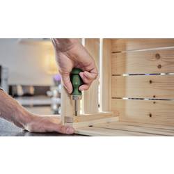Bosch Home and Garden 1600A032UZ ráčnový šroubovák Ráčnový šroubovák