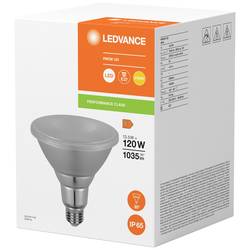LEDVANCE 4099854067822 LED Energetická třída (EEK2021) F (A - G) E27 Par 38 14 W = 120 W teplá bílá (Ø x v) 122 mm x 122 mm 1 ks