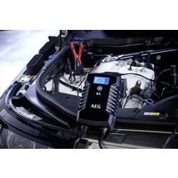 AEG LD8 10618 nabíječka 12 V, 24 V 8 A