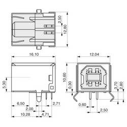 MPE Garry 418-1-S-BS0 USB konektor 1 ks