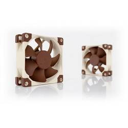 Noctua NOC-NF-A8-FLX PC větrák s krytem béžová, hnědá (š x v x h) 80 x 25 x 80 mm