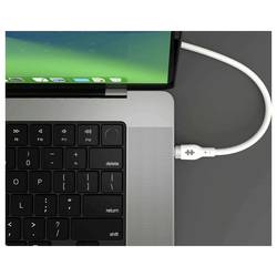 Targus USB kabel USB 2.0 USB-C ® zástrčka 1.00 m bílá kulatý HJ4001WHGL