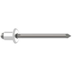 Gesipa 1454620 slepý nýt (Ø x d) 5 mm x 25 mm ocel ocel ocel Blindniet St/St 5x25mm Standard KS 15,0-20,0mm 250 ks