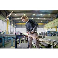 Bosch Professional GWS 17-125 S Inox 06017D0500 úhlová bruska 125 mm, 1700 W, 230 V