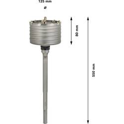 Bosch Accessories Bosch Power Tools F00Y145201 dutá vrtací korunka 125 mm 1 ks