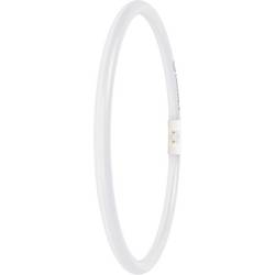 LEDVANCE LED trubice Energetická třída (EEK2021): D (A - G) LED zářivkový tvar T5 21.5 W denní bílá (Ø x d) 16.50 mm x 300.00 mm stmívatelná 1 ks