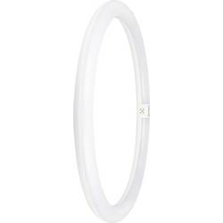 LEDVANCE LED trubice Energetická třída (EEK2021): E (A - G) G10q kulatý tvar 24 W neutrální bílá (Ø x d) 400.00 mm x 400.00 mm 1 ks