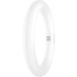 LEDVANCE LED trubice Energetická třída (EEK2021): F (A - G) G10q kulatý tvar 11 W teplá bílá (Ø x d) 212.00 mm x 212.00 mm 1 ks