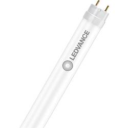 LEDVANCE LED trubice Energetická třída (EEK2021): C (A - G) G13 zářivkový tvar T8 6.8 W neutrální bílá (Ø x d) 26.70 mm x 603.00 mm vč. detektoru pohybu 1 ks