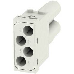 RockStar® Modu Plug, rám HDC MF 10B AC Weidmüller Množství: 1 ks Rámy