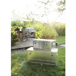 Alutec BASIC 40 10040 transportní kufr hliník (d x š x v) 560 x 370 x 245 mm