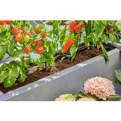 GARDENA Systém Micro-Drip 13400-20 Kompletní zavlažovací set 13 mm (1/2) Ø Zavlažování teras (30 rostlin)