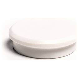 magnetoplan magnet Basic Serie (Ø) 24 mm kulatý bílá 10 ks 1862400