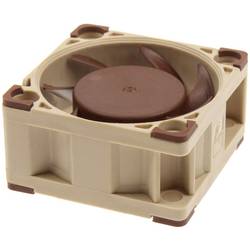 Noctua NF-A4x20 5V PWM PC větrák s krytem hnědá (š x v x h) 40 x 40 x 20 mm