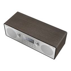Panasonic RF-D100BTEGT RF-D100BTEGT stolní rádio, FM, DAB+, AUX, Bluetooth, DAB+, FM, funkce alarmu, stříbrná, hnědá