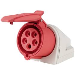 Sygonix SY-6271340 CEE zásuvka na stěnu, 32 A, 5pólová, 415 V/AC, 1 ks