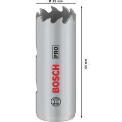 Bosch Accessories 2608901493 2608901493 vrtací korunka 19 mm 1 ks