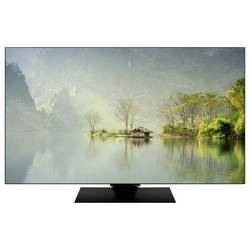 Panasonic TV-65Z80BEZ OLED TV, 164 cm 65 palec, F (A - G)