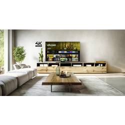 Panasonic TV-65Z80BEZ OLED TV, 164 cm 65 palec, F (A - G)