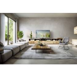 Panasonic TV-65Z80BEZ OLED TV, 164 cm 65 palec, F (A - G)