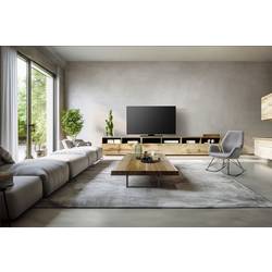 Panasonic TV-65Z80BEZ OLED TV, 164 cm 65 palec, F (A - G)